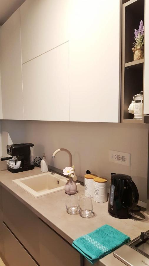 Elias Central Apartment - 2 Bedrooms & Free Parking Oradea Dış mekan fotoğraf